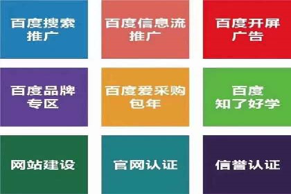 百度竞价推广助力企业品牌崛起案例